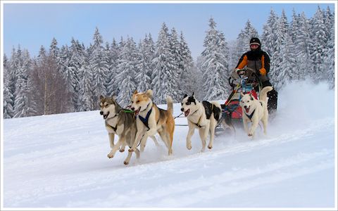 _MG_0911.jpg