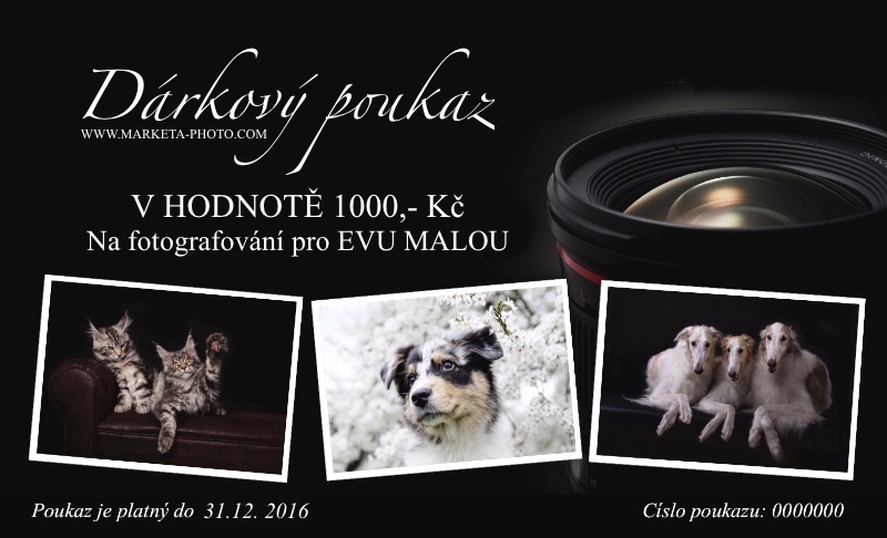 darkovy poukazII.jpg